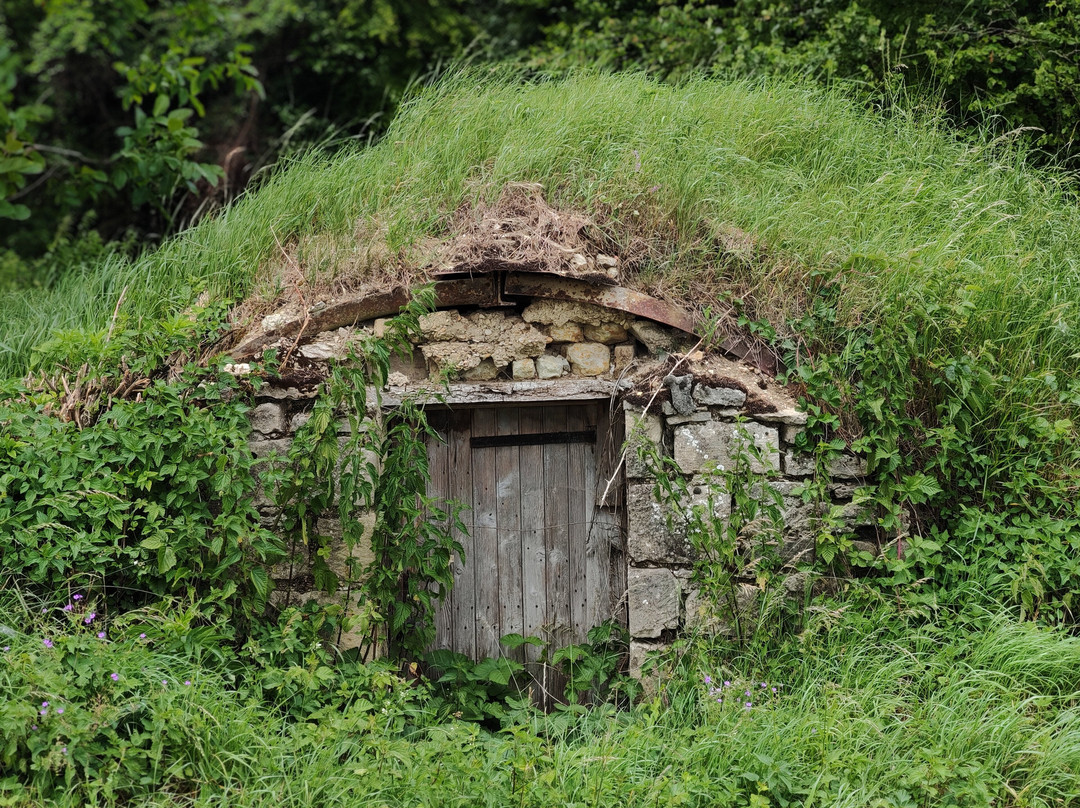 Maginot Line Tours - Tucker Tours-Sedan必去景点