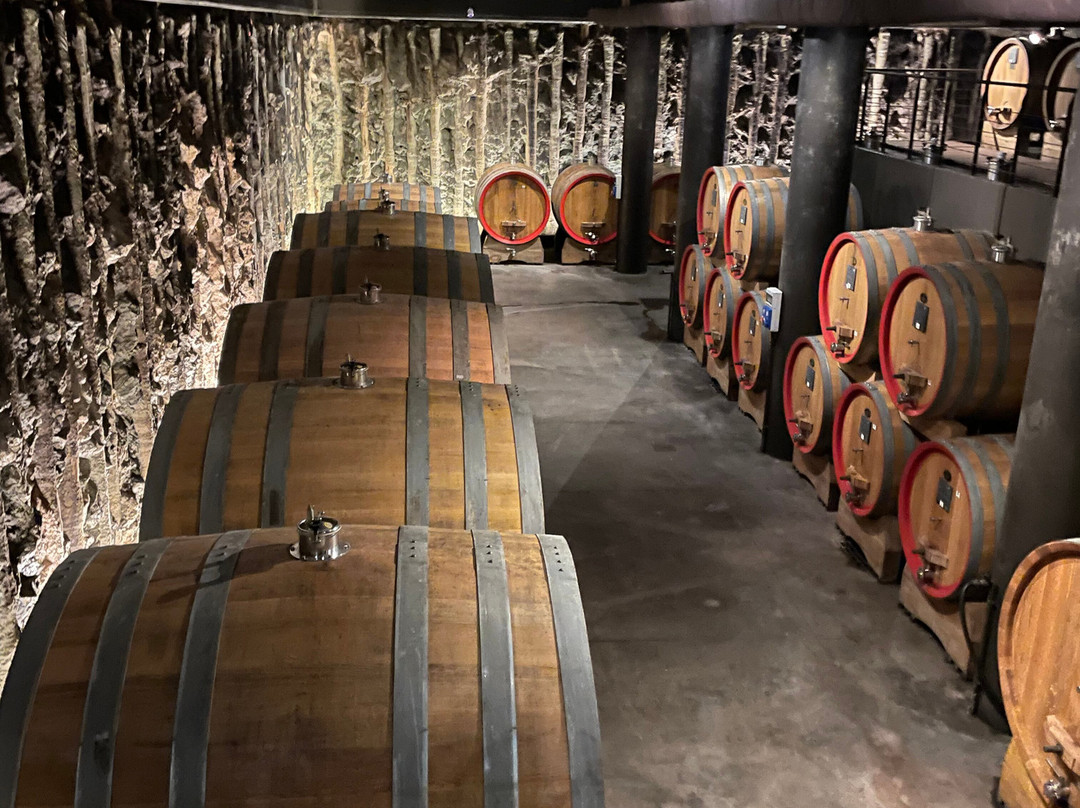 Azienda Agricola Albino Armani 1607-Dolce'必去景点