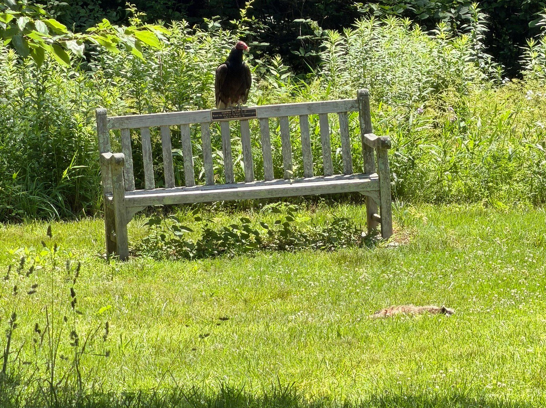 The Frelinghuysen Arboretum-莫里斯敦必去景点