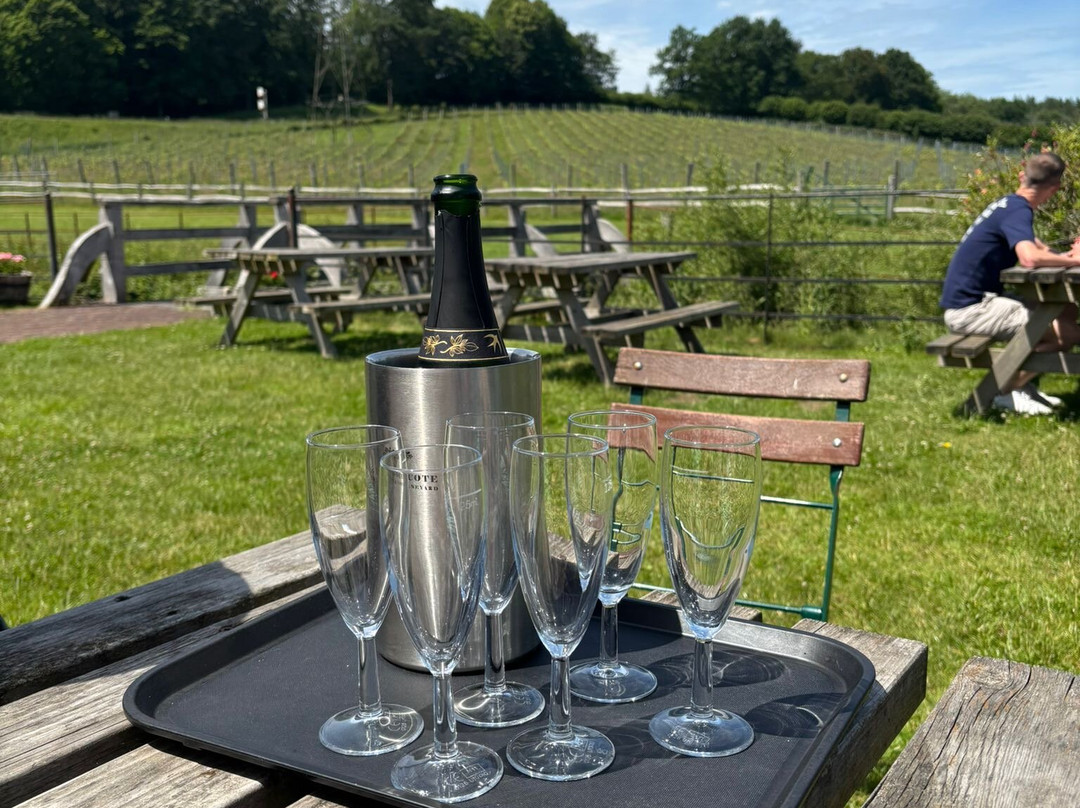 Kingscote Estate and Vineyard-东格林斯特德必去景点