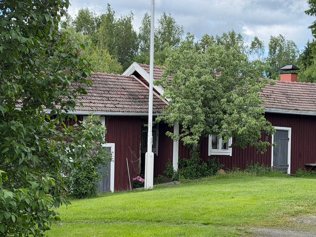 Kallionkolo