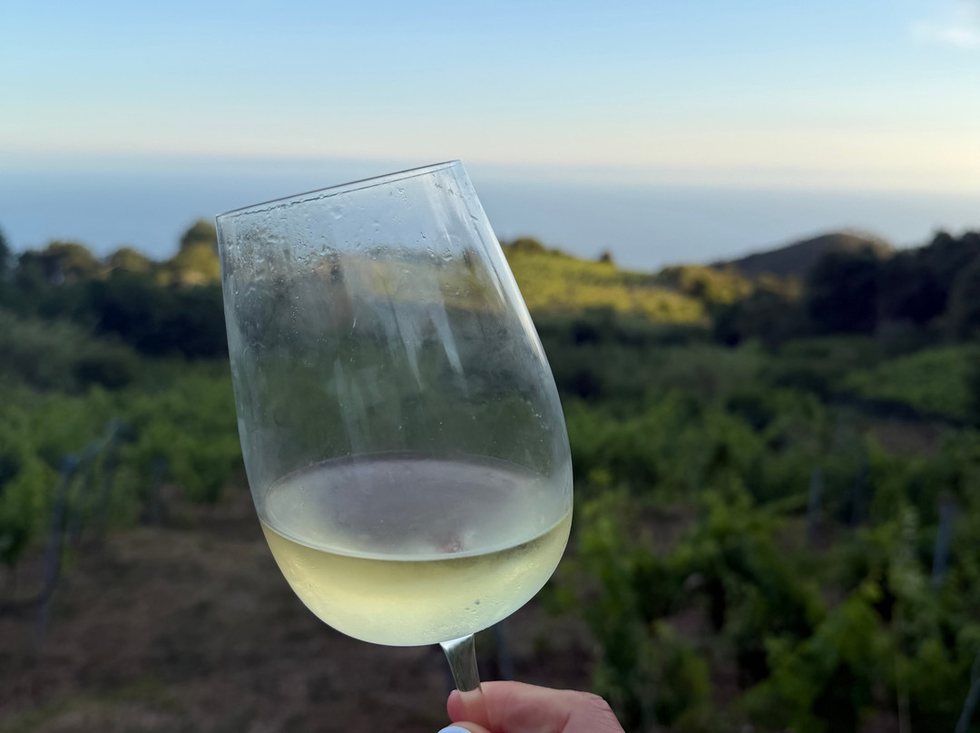Cà Du Ferrà Wine & Tasting-Bonassola必去景点