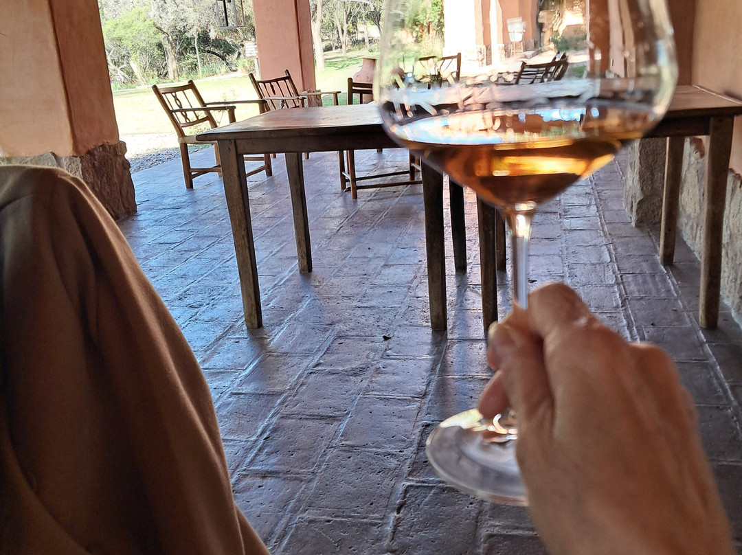 Cordoba Wine Travel-科尔多瓦必去景点
