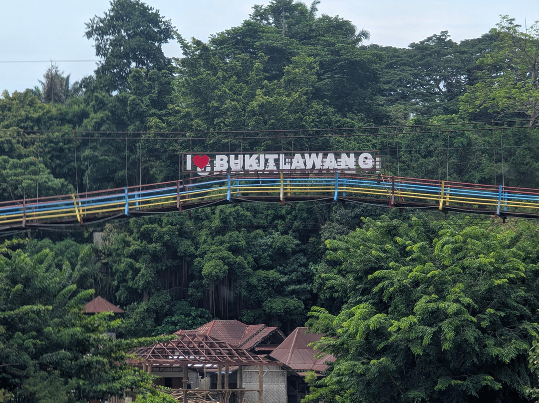 Bukit Lawang - Jungle Trekking Sumatra-武吉拉旺必去景点