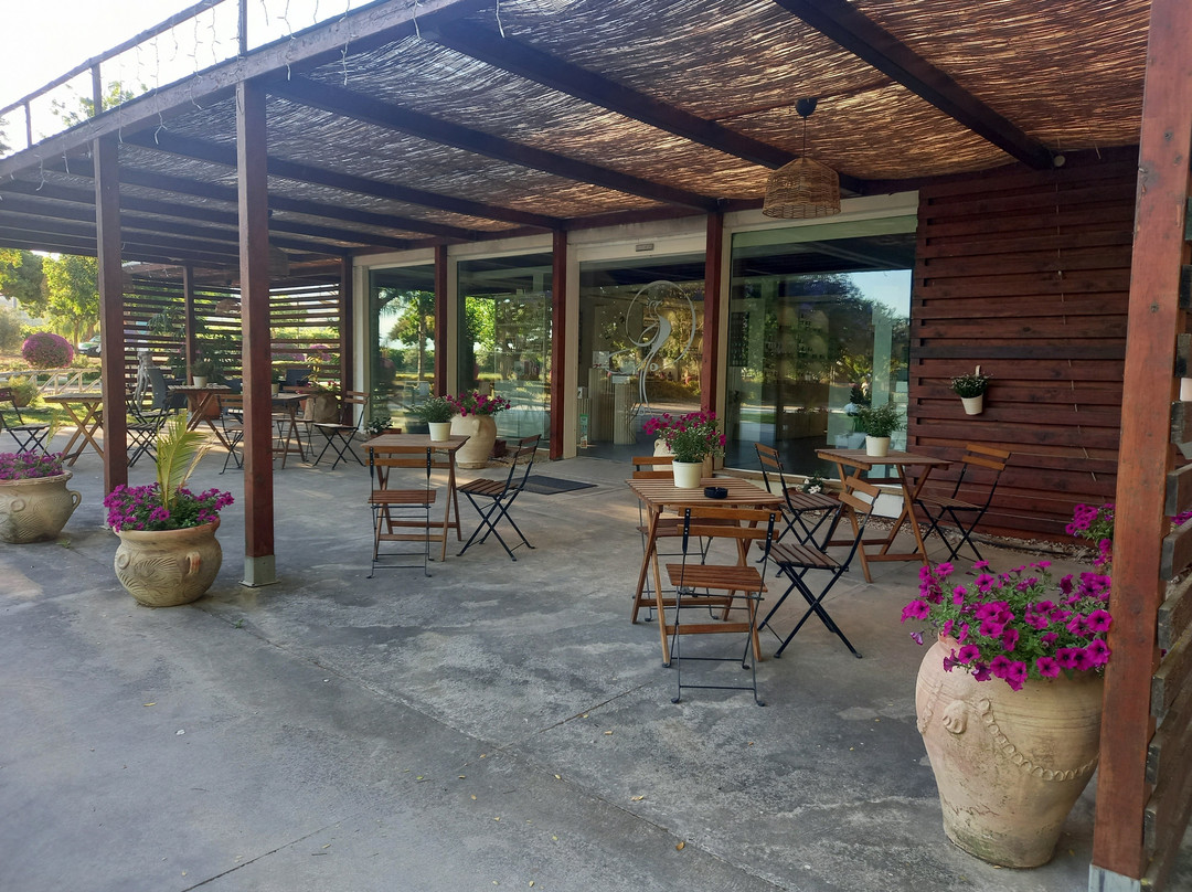 Agriturismo Valle Dei Margi
