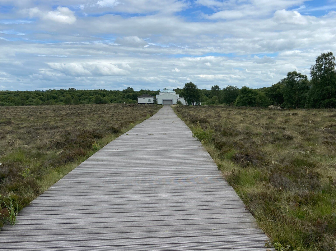 Corlea Trackway Visitor Centre-Keenagh必去景点