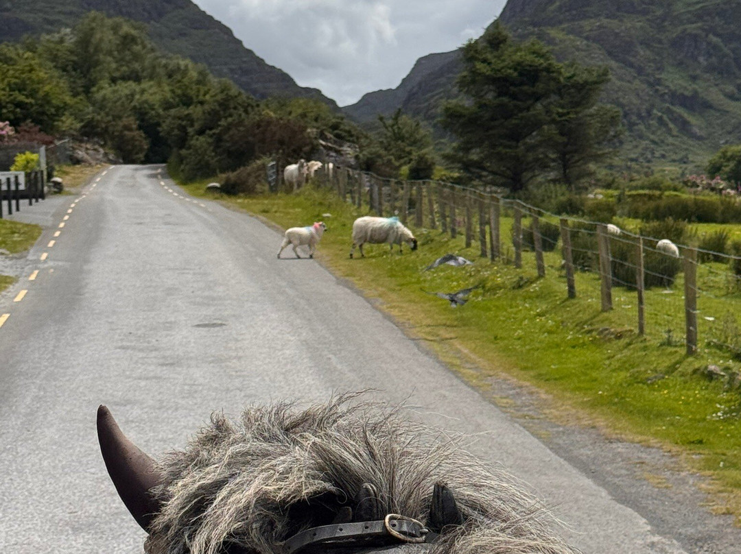 Gap of Dunloe-基拉尼必去景点