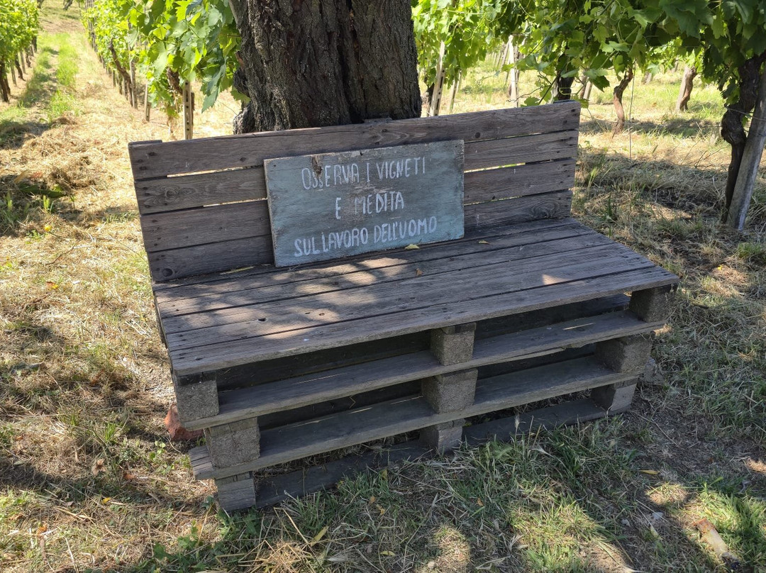 Tenuta Riccardi - Vini dal 1912-Santa Maria della Versa必去景点
