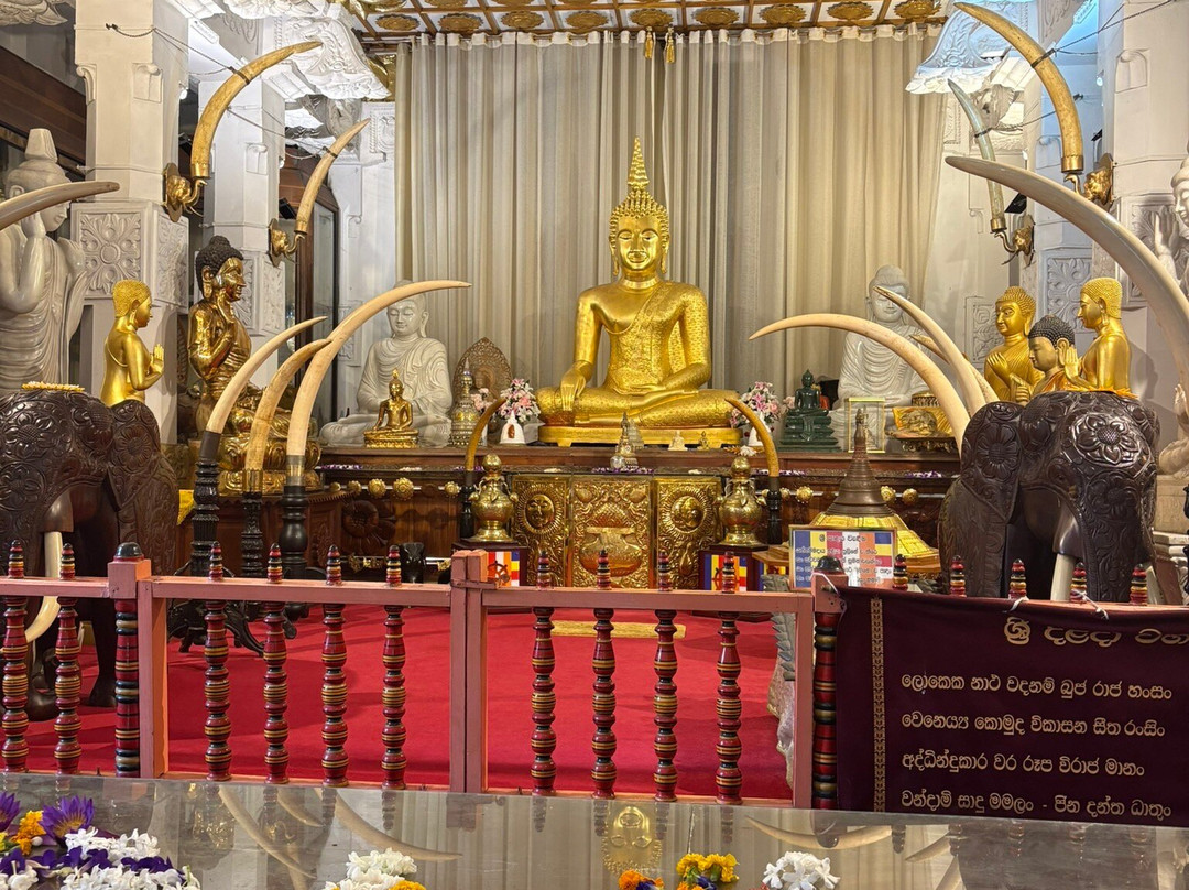 Jaye Wannakumudiyanselage top tour sri lanka-班达拉维拉必去景点