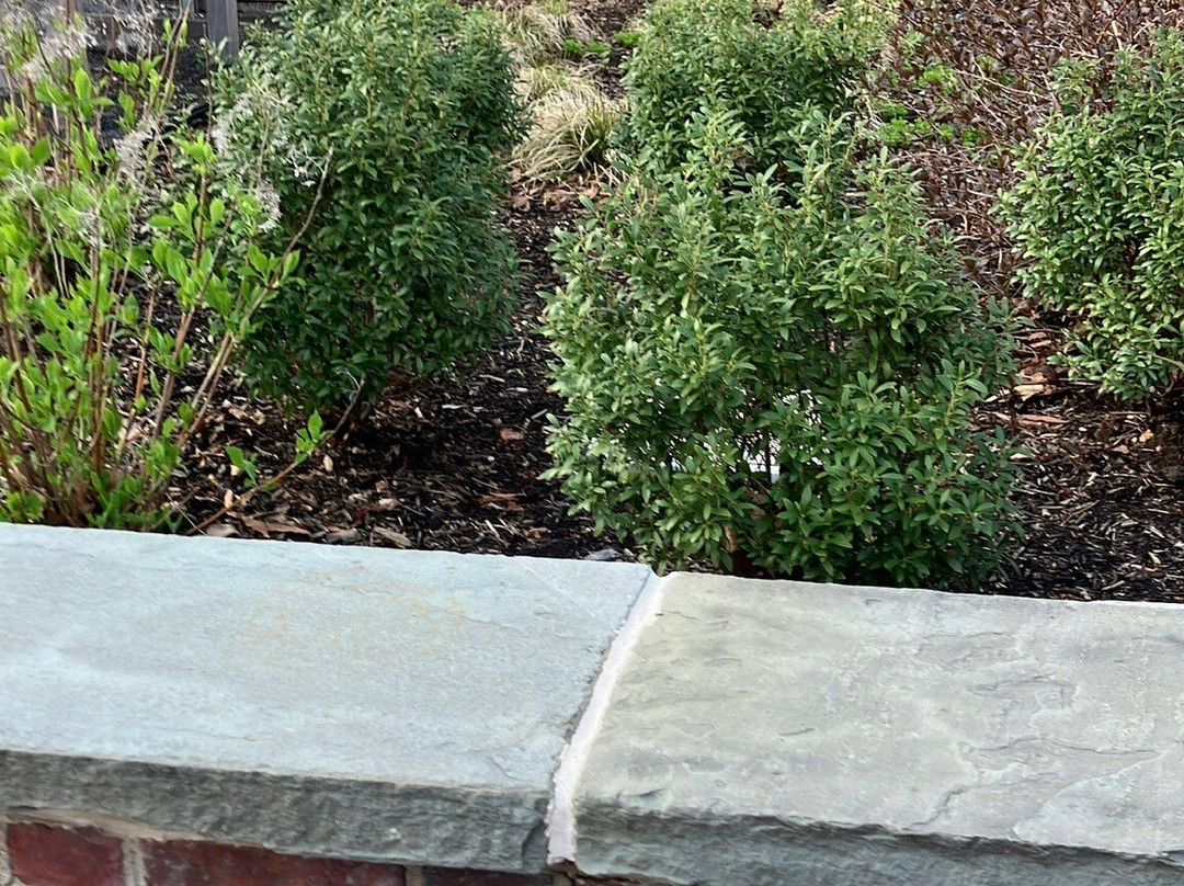 Benjamin Rush Garden-费城必去景点