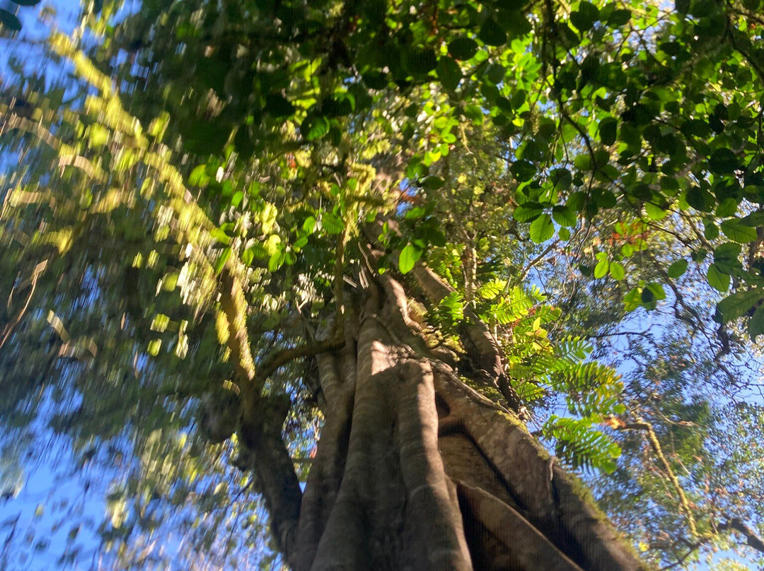 Bali Trekking Experience-新加拉惹必去景点