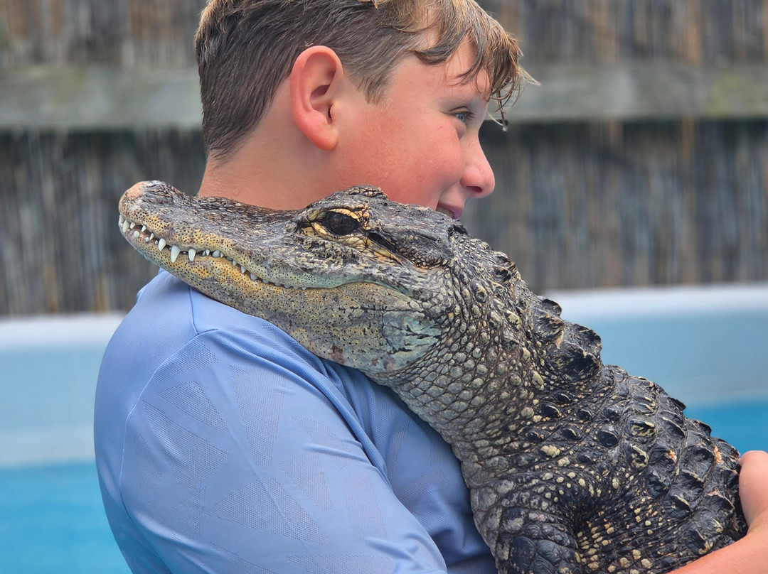 Crocs R Us-Filton必去景点