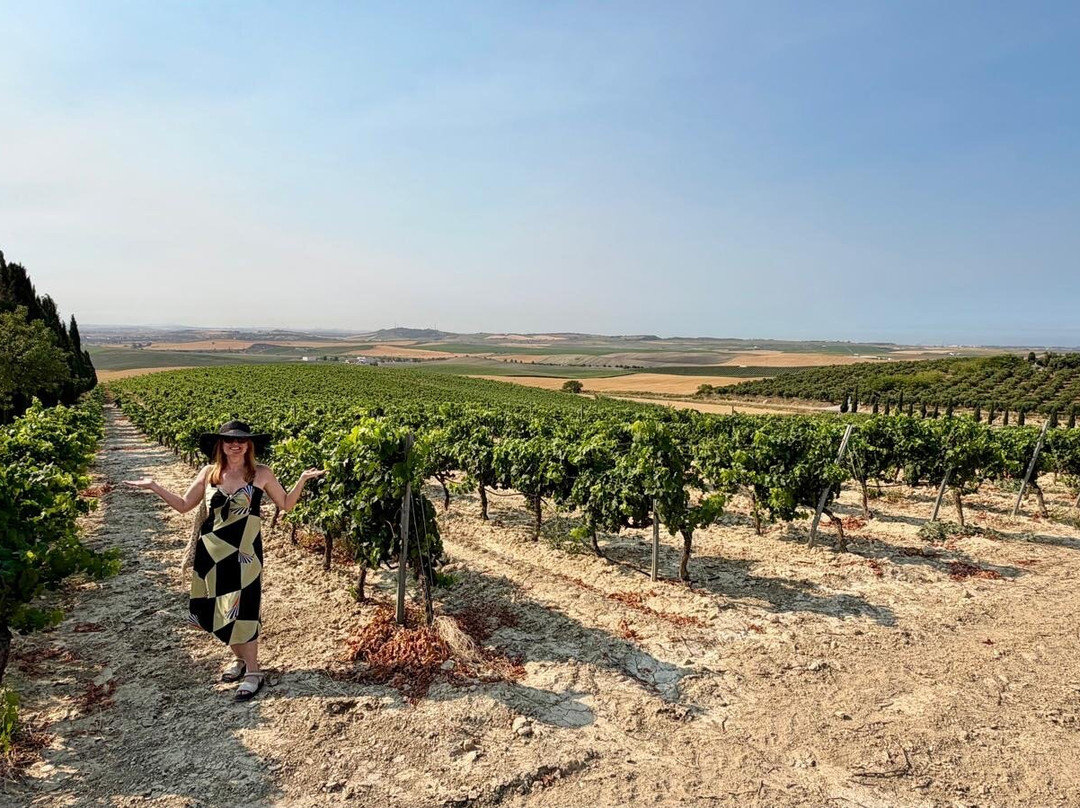 Bodegas Luis Pérez-赫雷斯德拉弗隆特拉必去景点