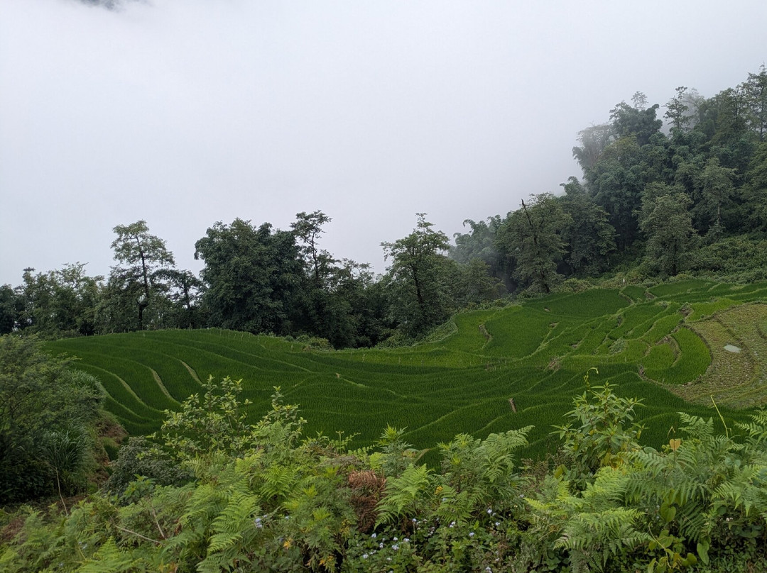 LaLa SaPa Trekking Tour-沙巴必去景点