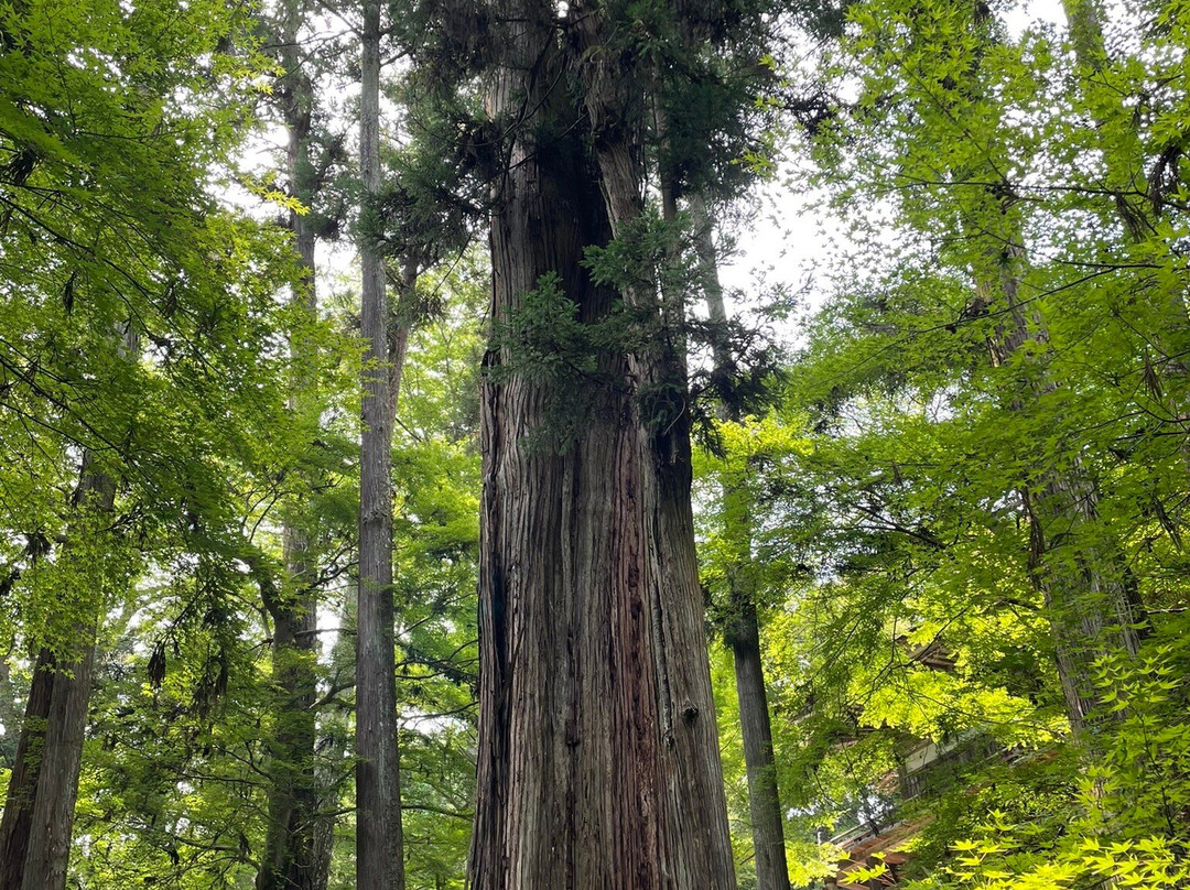 Ishiyamadera Temple-大津市必去景点