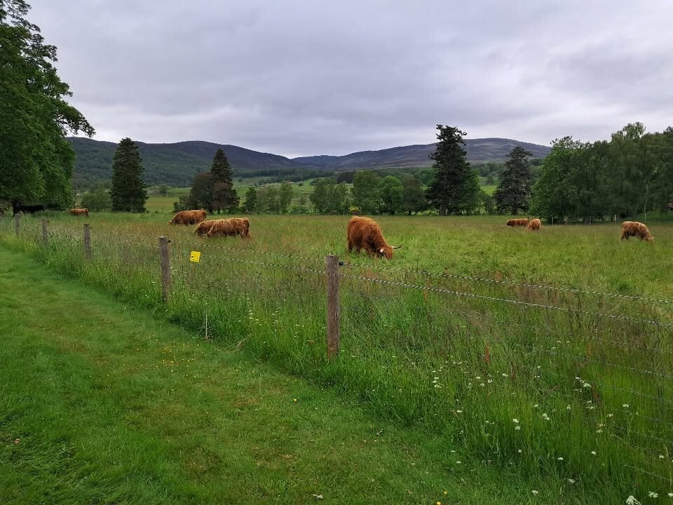 Balmoral Castle-巴拉特必去景点