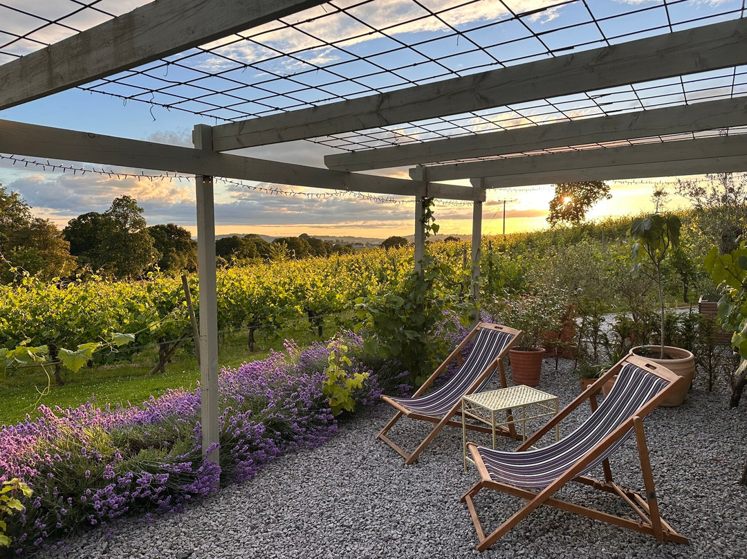Coddington Vineyard-Ledbury必去景点