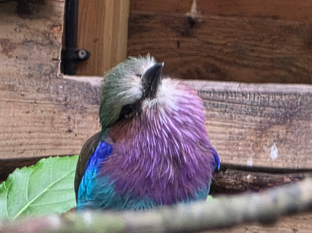 Birdworld-法纳姆必去景点