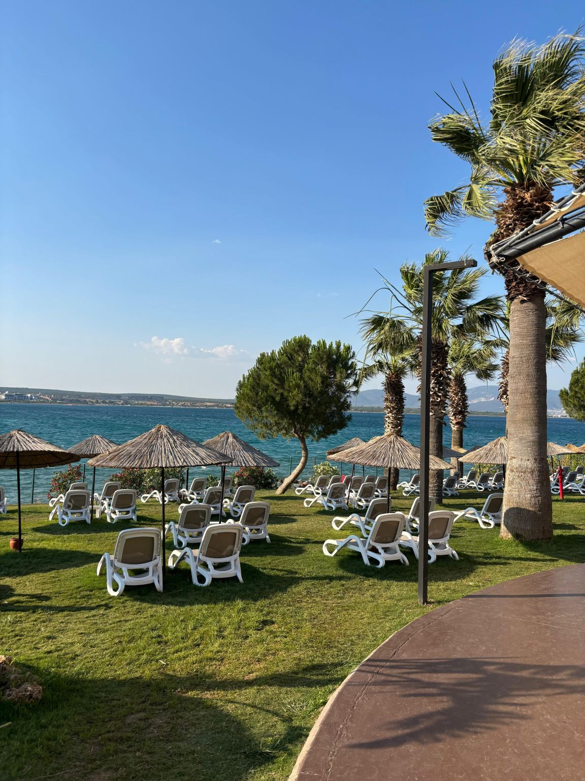 Duja Didim-旅行者