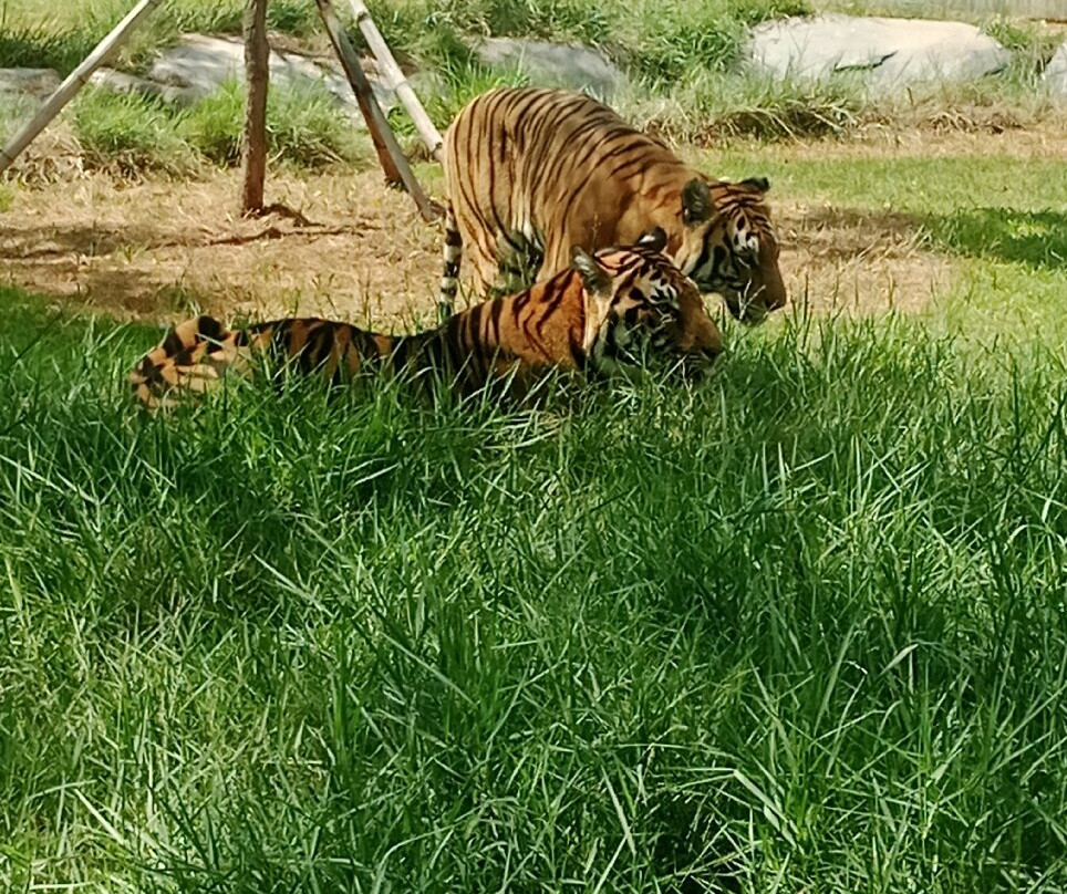 Angkor Wildlife & Aquarium-暹粒必去景点