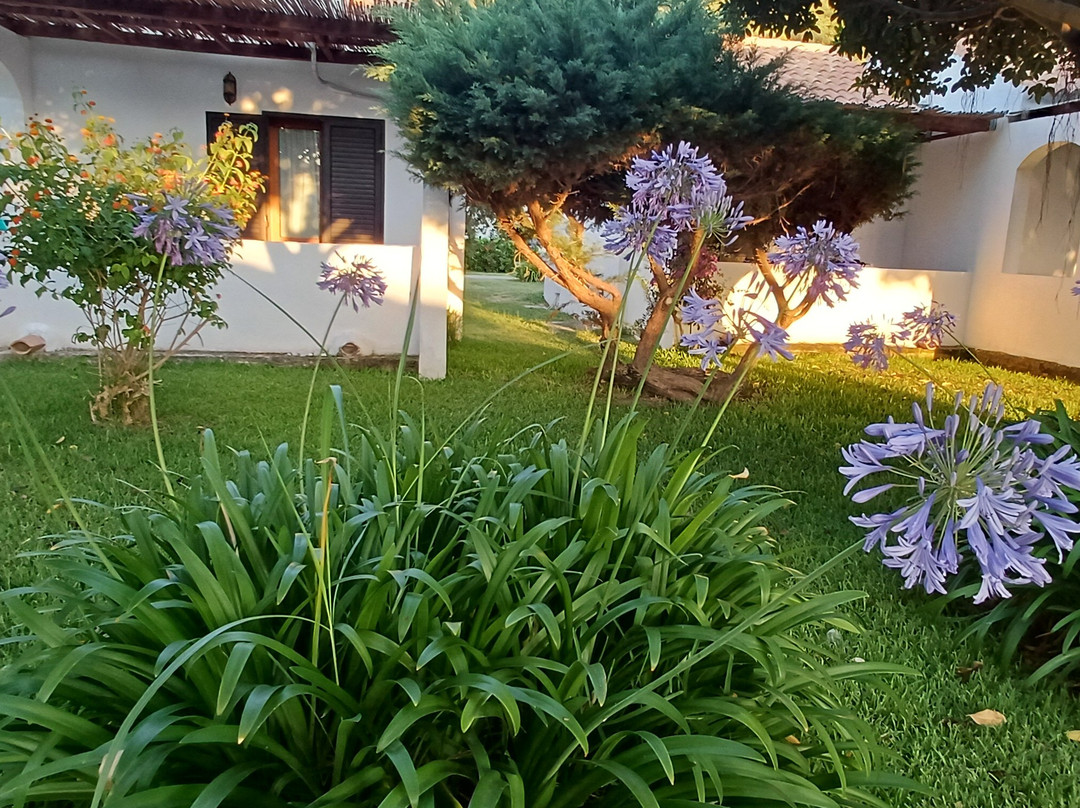 VOI le Muse Essentia主图