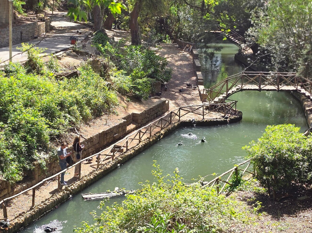 Rodini Park-罗德斯必去景点