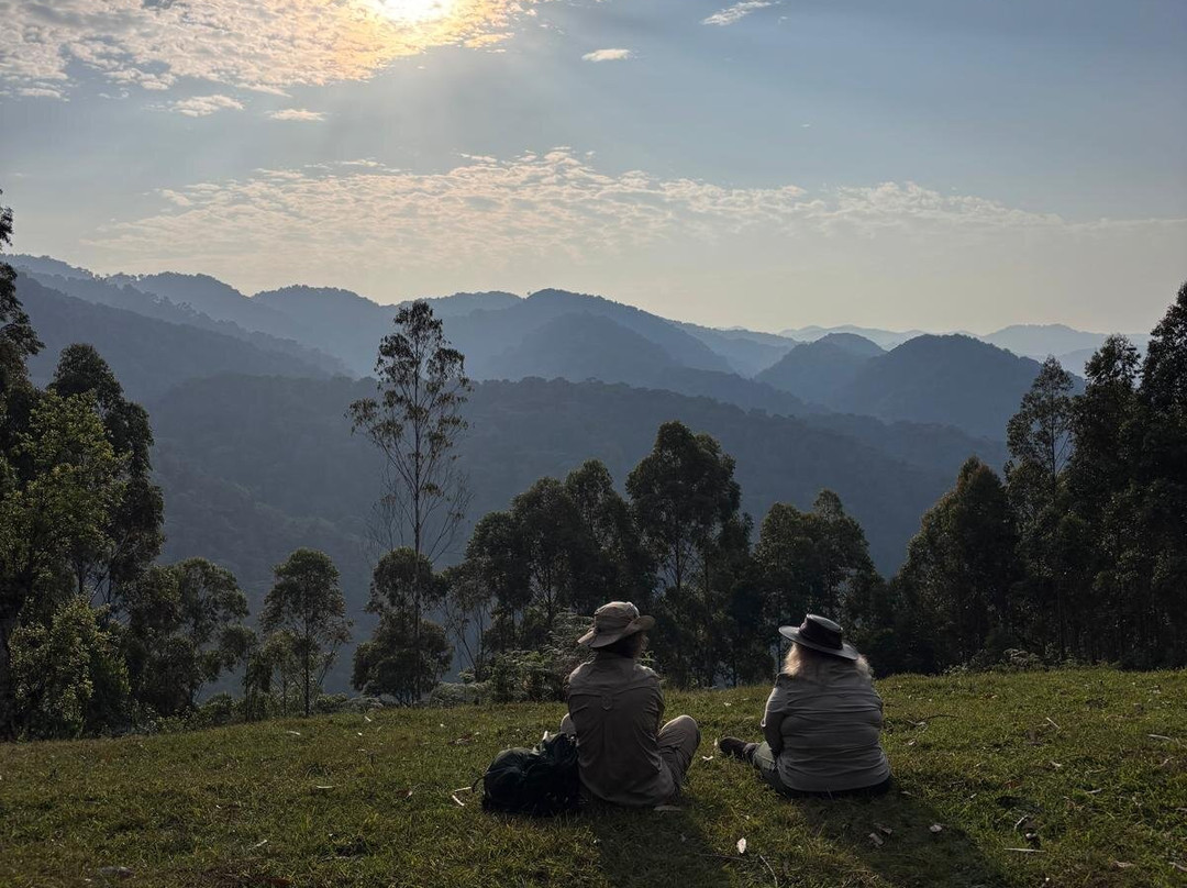 Nkuringo Safaris-布恩迪难以穿越的国家公园必去景点