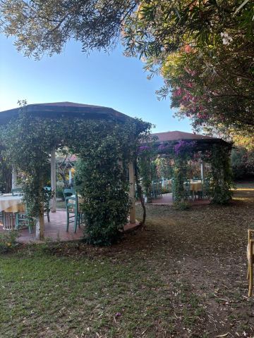 Fattoria Il Borghetto-旅行者