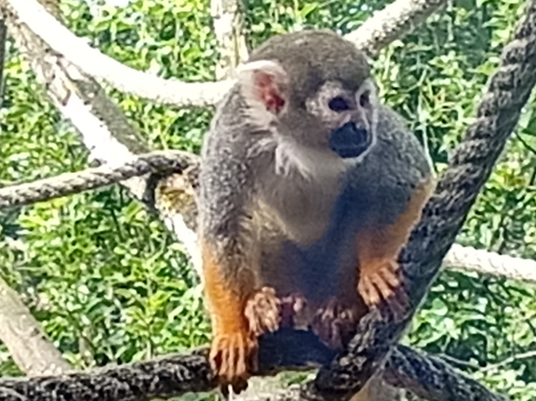 Zoo de La Fleche-La Fleche必去景点