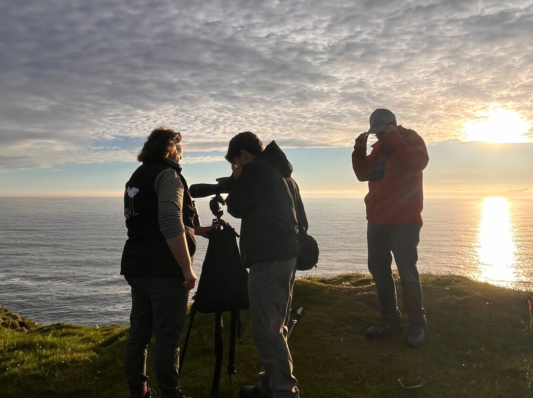 Wild Orkney Walks-Stromness必去景点