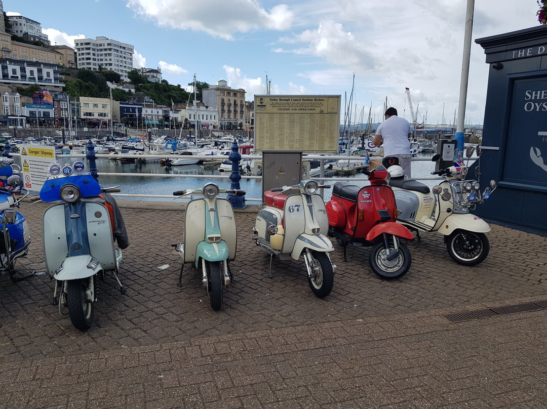 MDL Torquay Marina-托基必去景点