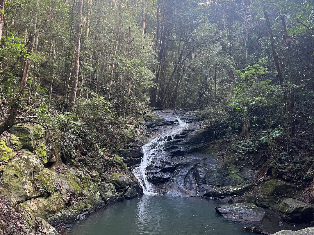 蒙特维尔瀑布山林小屋主图
