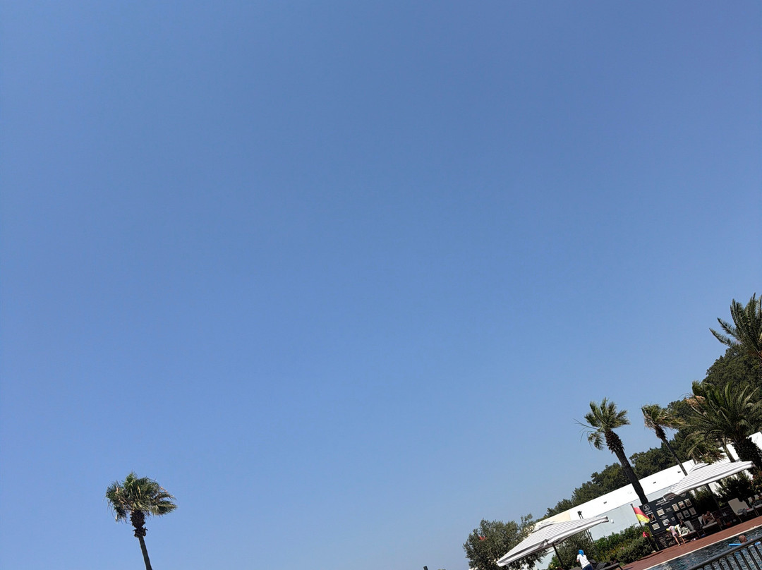 The OBA Hotel主图