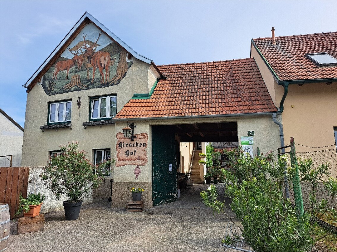 Weingut Hirsch-Langenlois必去景点