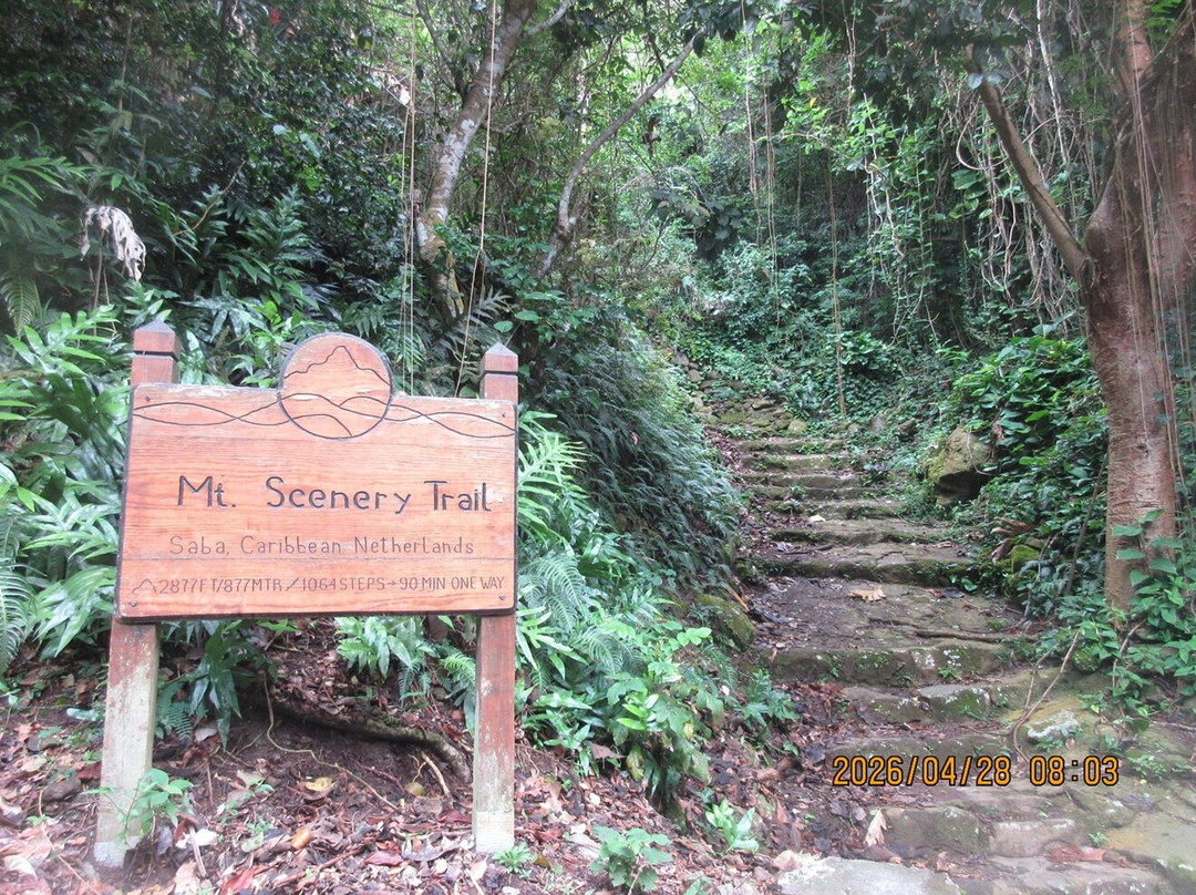 Mount Scenery-Windwardside必去景点