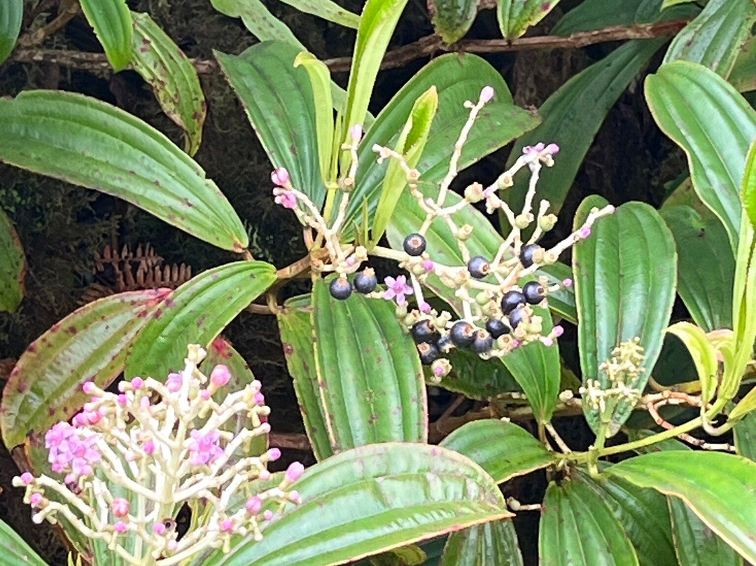 Lagoon El Junco-圣克里斯托瓦尔必去景点