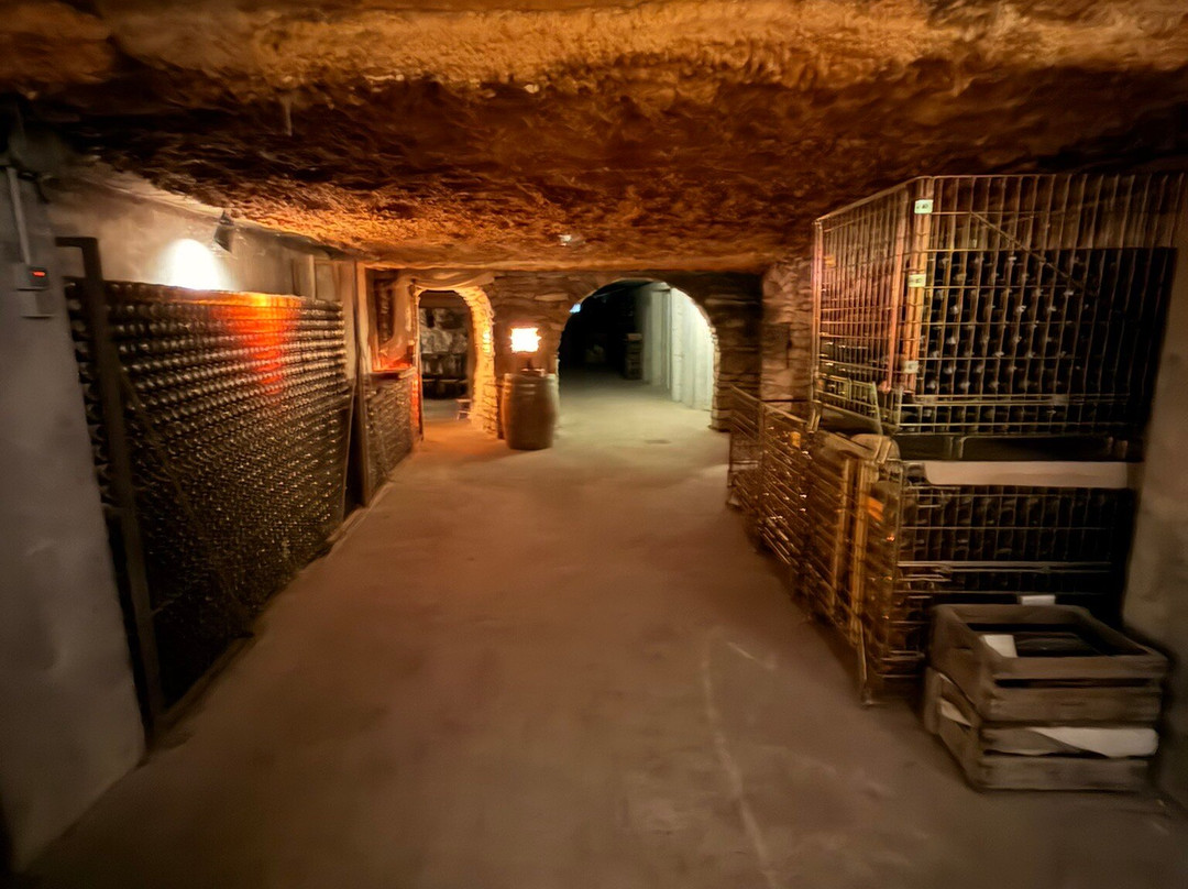 Domaine Albert Seltz-米特贝汉必去景点