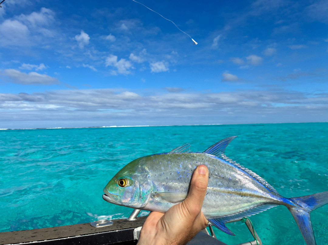 Silent One Lagoon Charters-艾图塔基必去景点