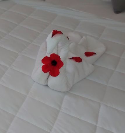 Nahrawess Resort & Thalasso-旅行者