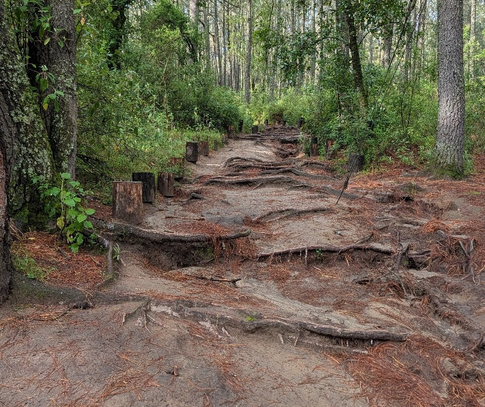 La Malinche National Park-Huamantla必去景点