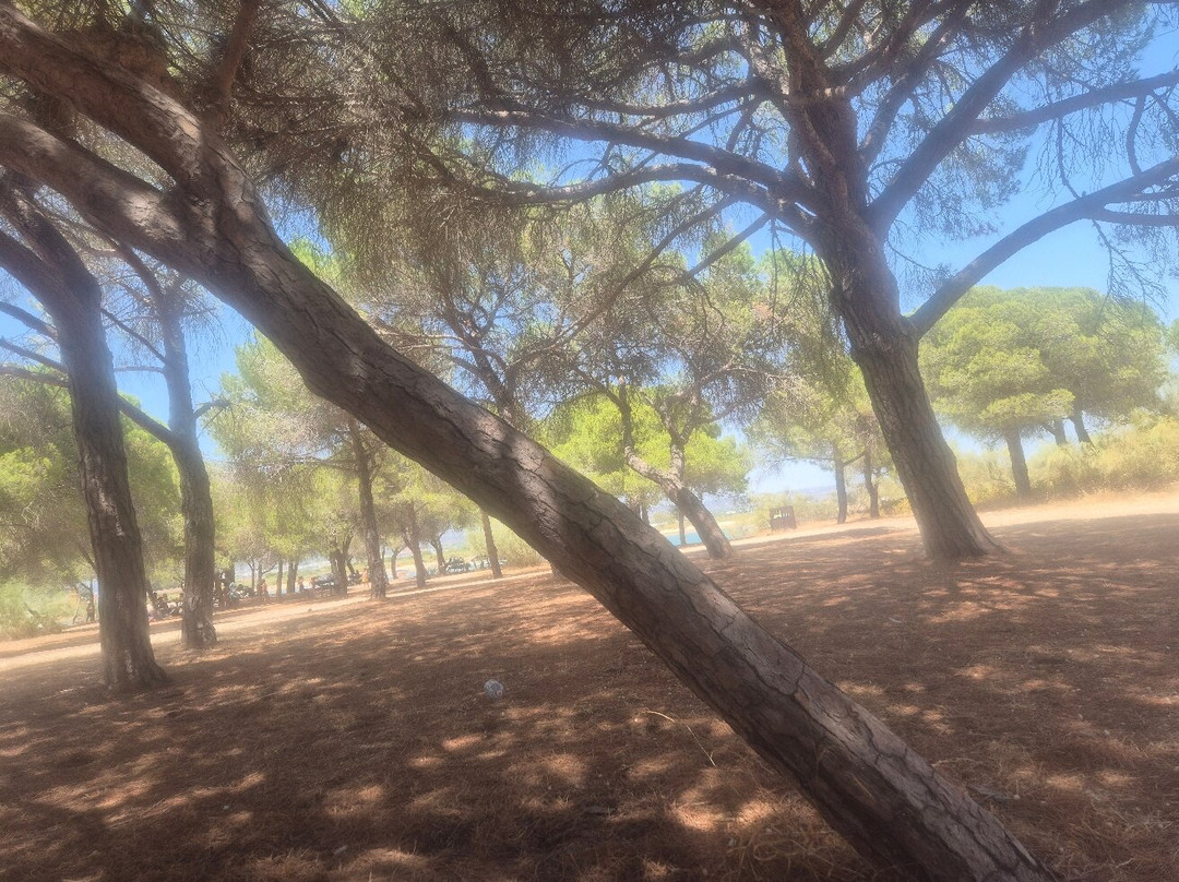 Isla De Tavira-塔维拉必去景点