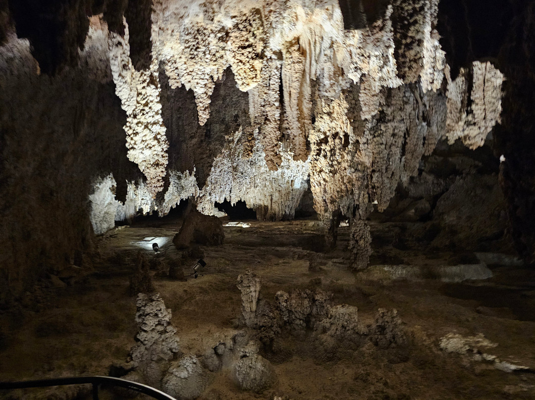 Carlsbad Caverns Natural Entrance Tour-卡尔斯巴德洞穴国家公园必去景点
