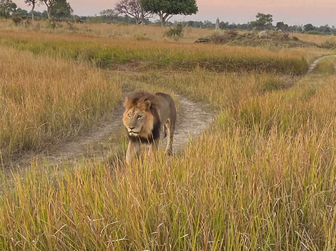 Gondwana Tours & Safaris-马翁必去景点