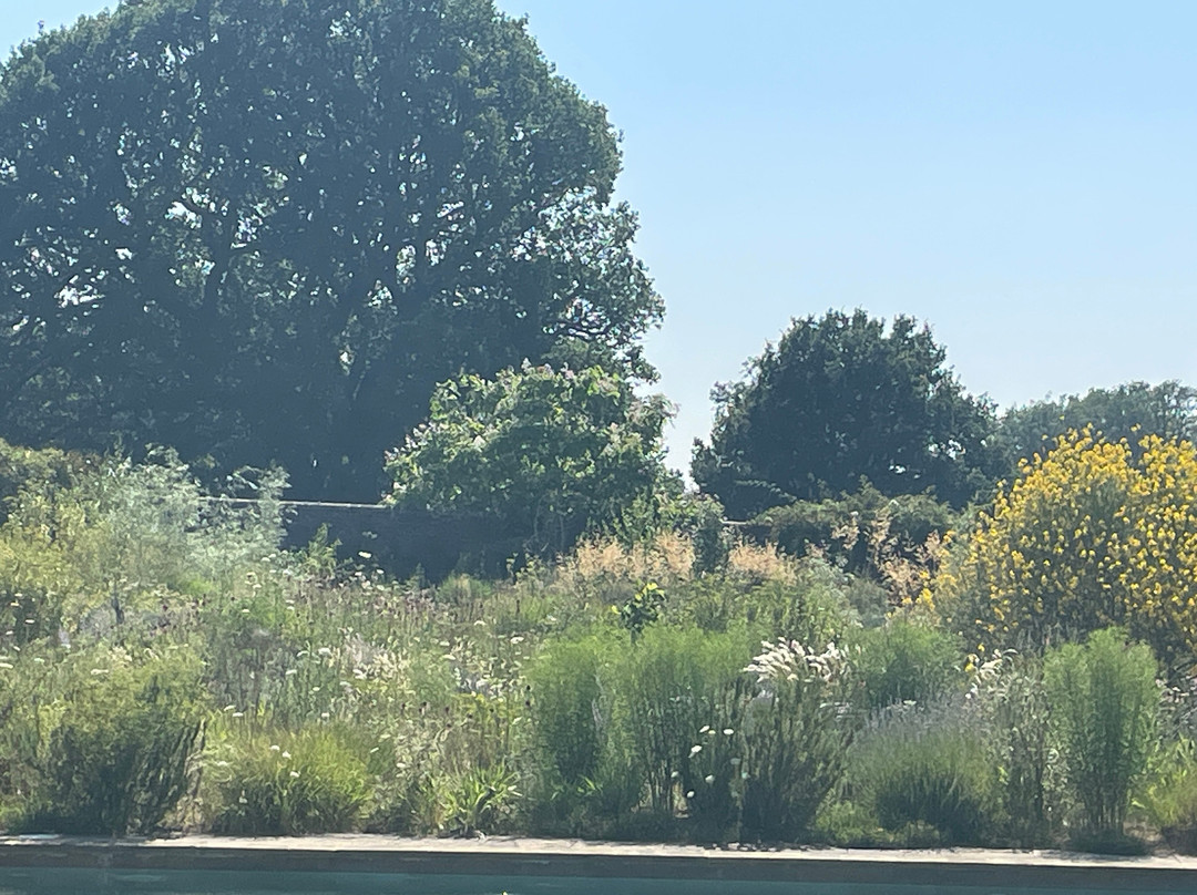 Knepp Rewilded Walled Garden