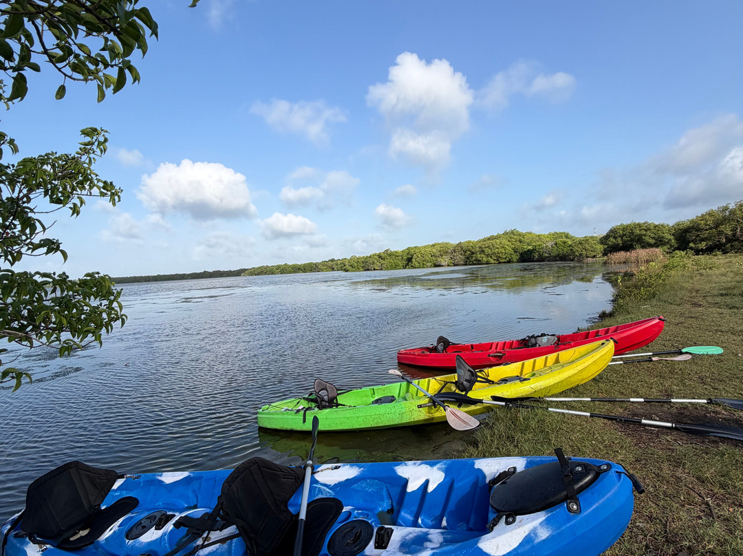 Kayak journey-Rekawa必去景点