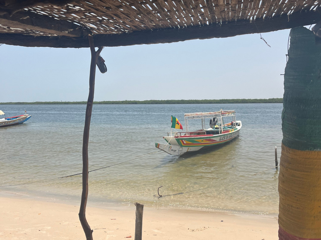 Iles du Saloum Decouverte-Ndangane必去景点