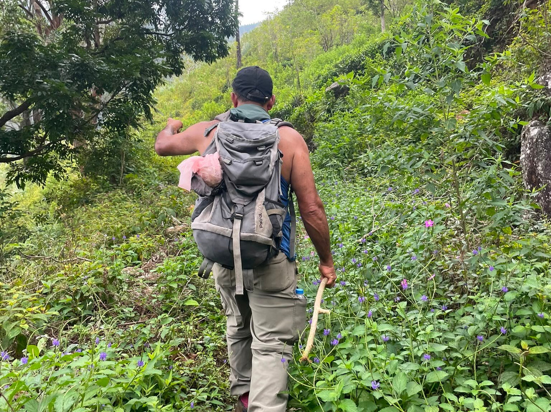 Kandy Trekking Tours-康提必去景点