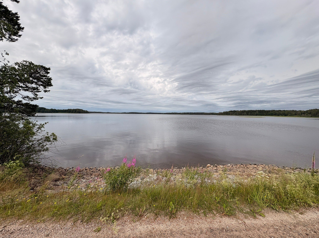 Färnebofjärden Nationalpark-Gysinge必去景点