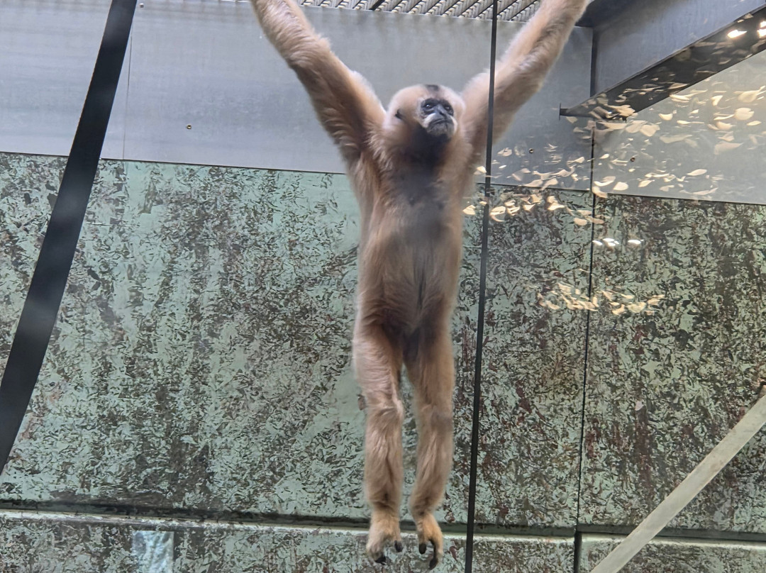 Twycross Zoo-Atherstone必去景点