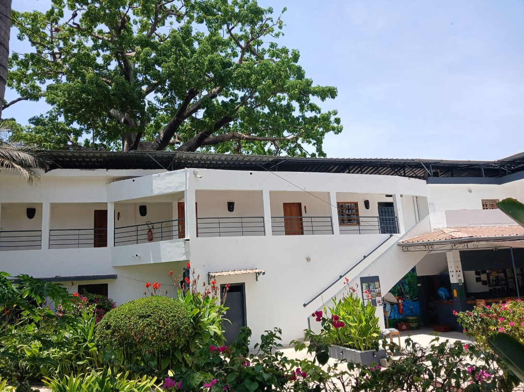 Hôtel le Perroquet主图